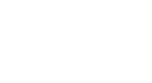 total-ancillary-logo-white
